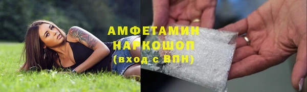 трава Балахна