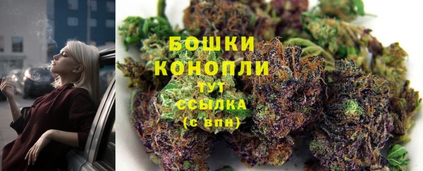 трава Балахна