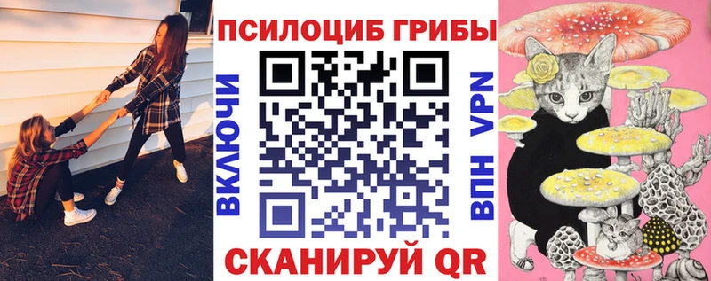 наркотики  Грайворон  omg онион  Псилоцибиновые грибы ЛСД 